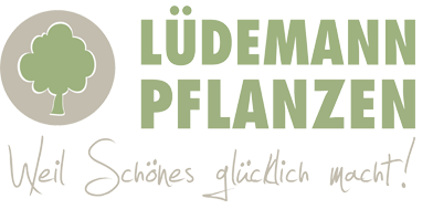 Ludemann Pflanzen Ihr Gartencenter In Niedersachsen