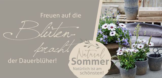 2022-luedemann-sommer Flyer ansehen